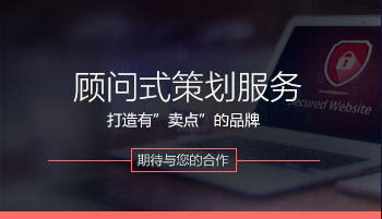 顧問(wèn)式策劃服務(wù)